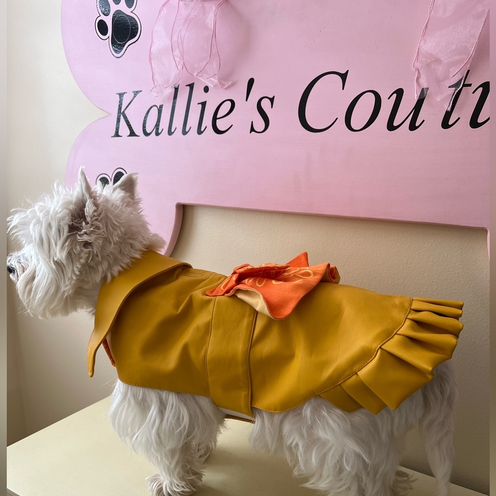 Designer Waterproof Raincoat with Decorative Lining.
